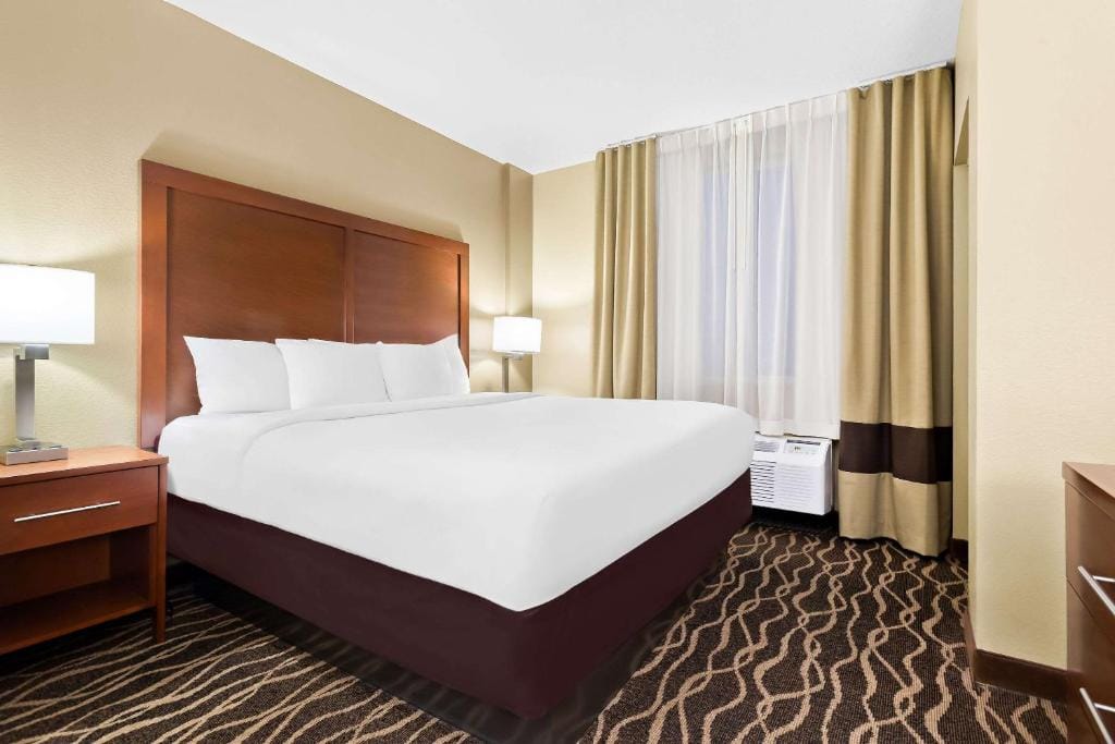 Comfort Suites Tampa Airport North — 5
