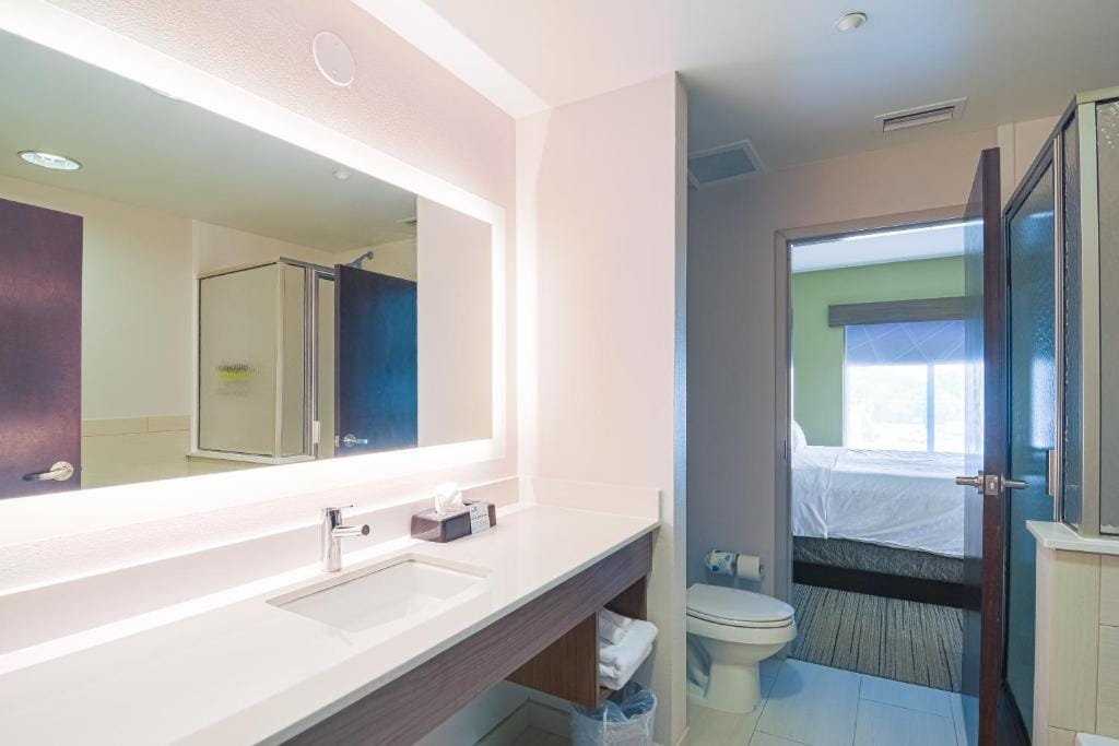 Holiday Inn Express Hotel & Suites Tampa-USF-Busch Gardens by IHG — 2