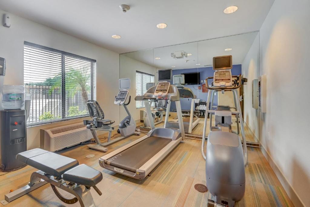 Holiday Inn Express Hotel & Suites Tampa-USF-Busch Gardens by IHG — 3