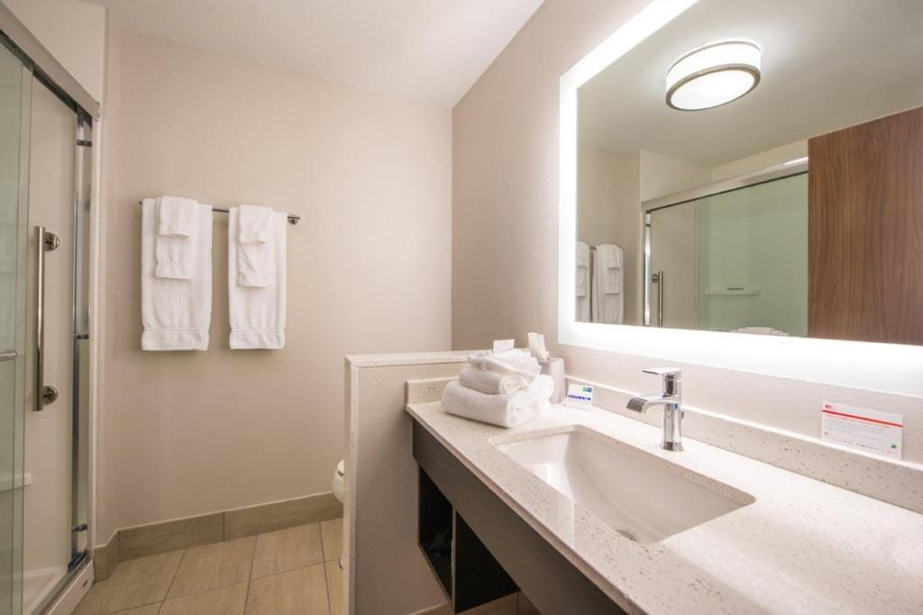 Holiday Inn Express & Suites - Tampa North - Wesley Chapel by IHG — 3