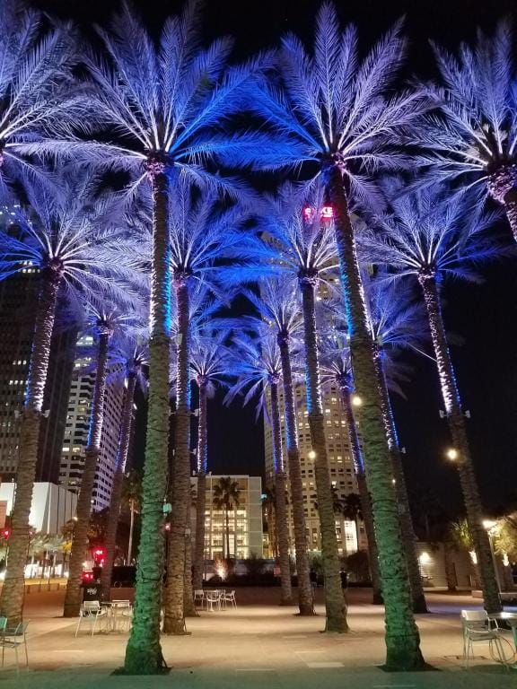 The Barrymore Hotel Tampa Riverwalk — 3