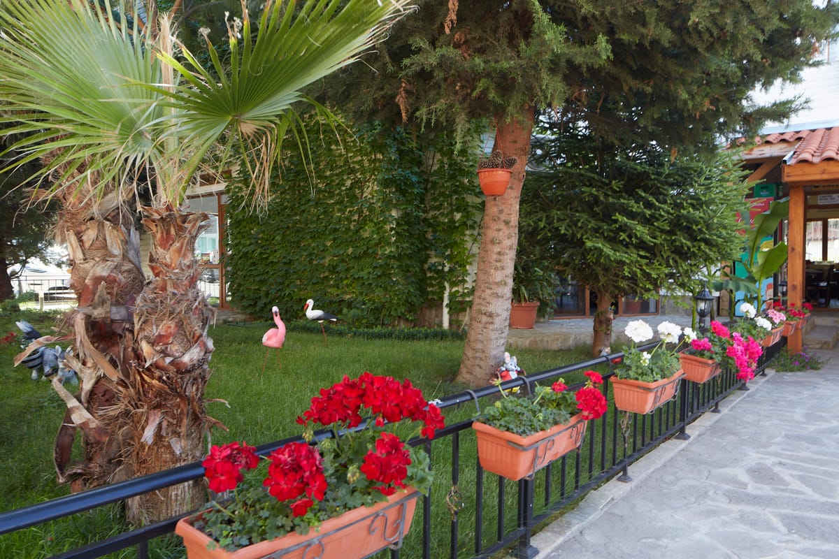 Complex Moskoyani — 4