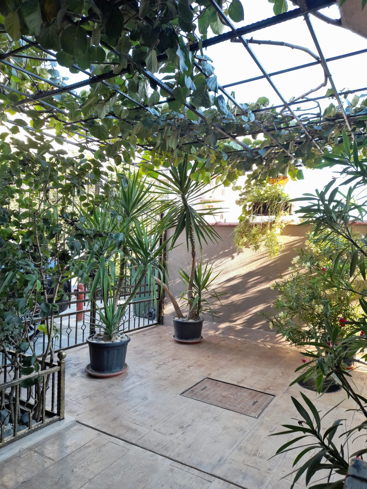 Dracena Guest House — 2