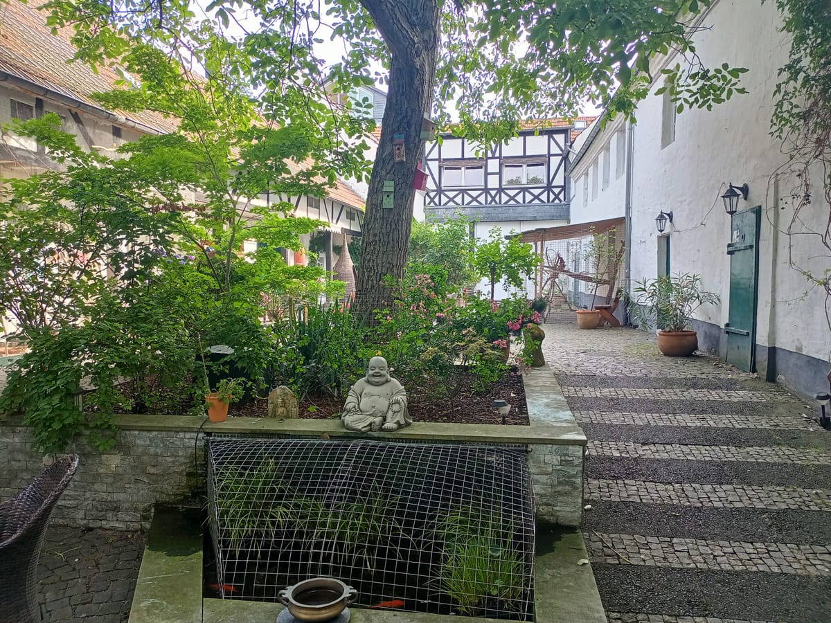 Rhein River Guesthouse — 3