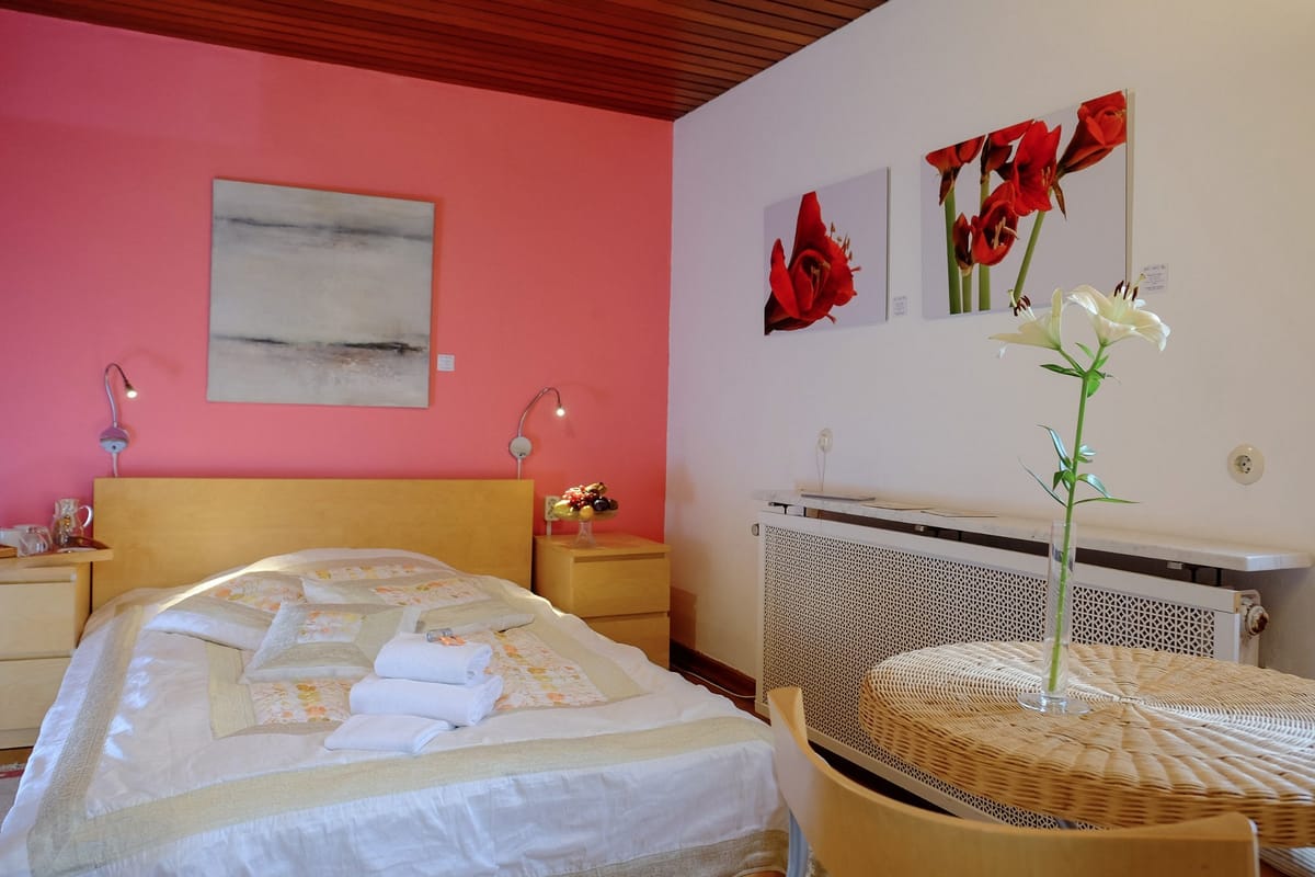Rhein River Guesthouse — 5