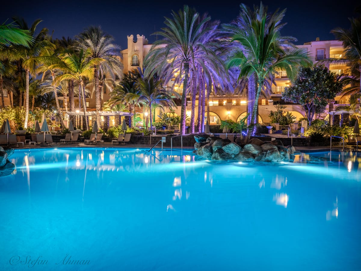 Palm Oasis — 1