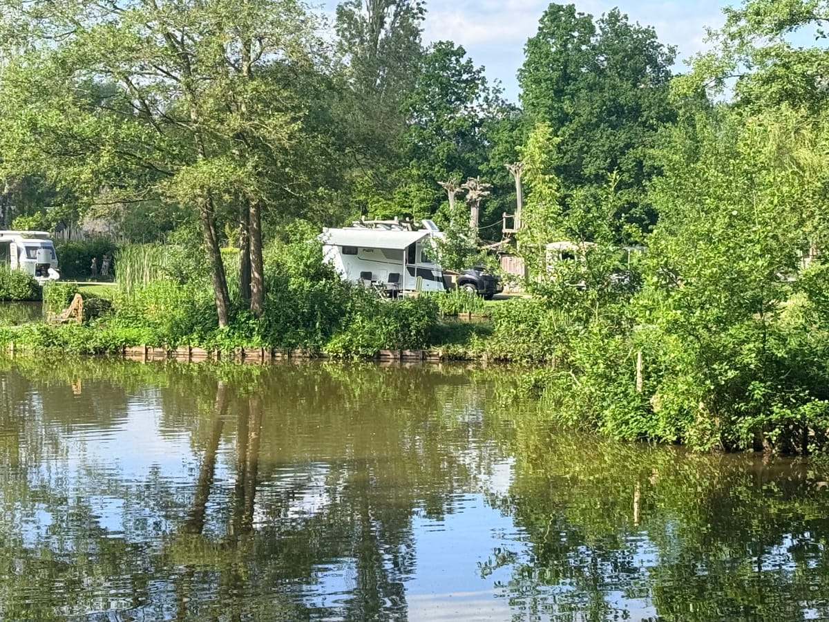 Willow Camp — 2