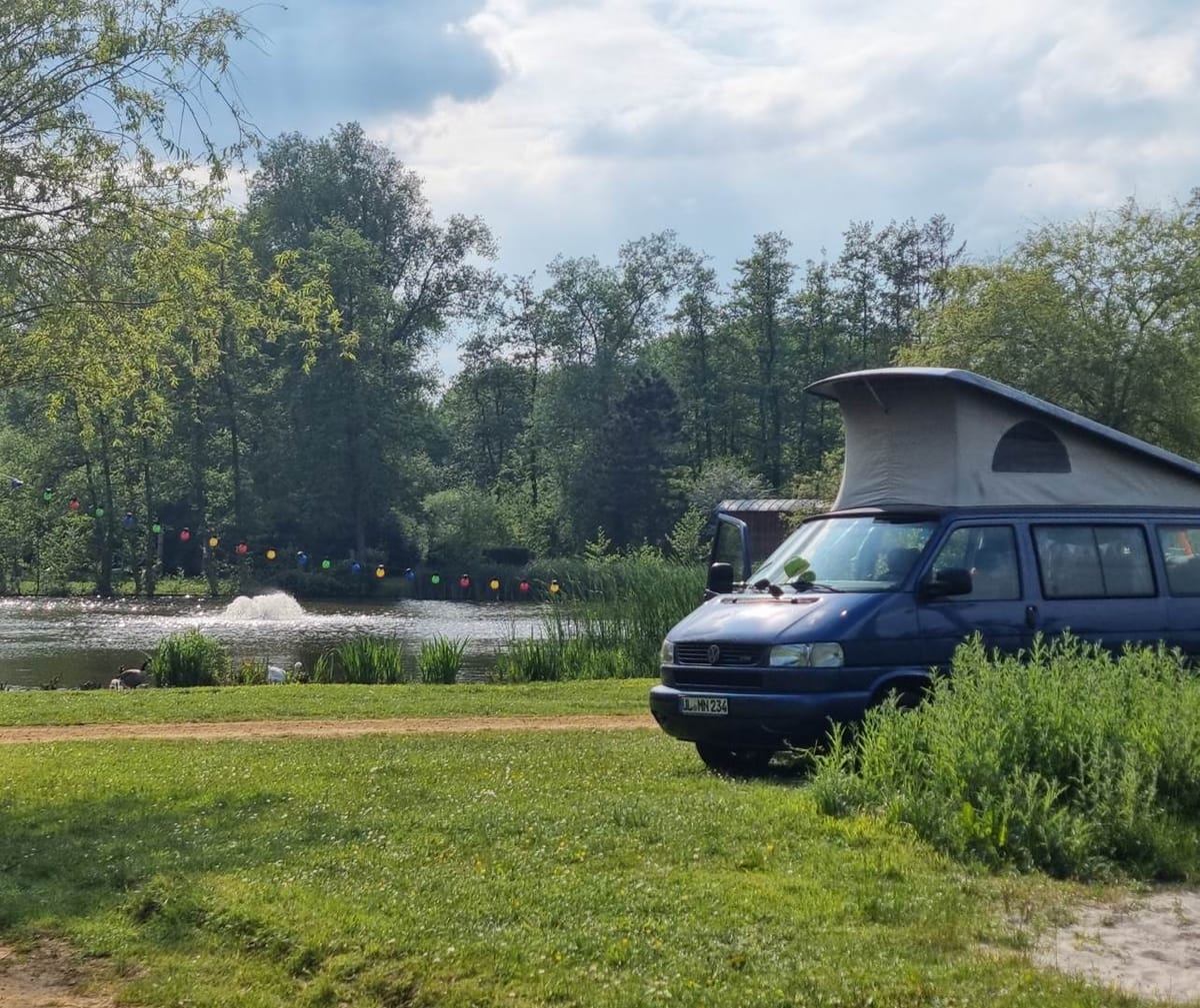 Willow Camp — 3