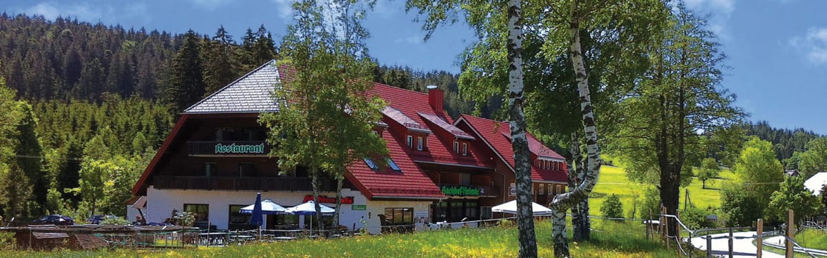 Pension & Restaurant Mühlencafé mit "Reinhards Hüttengaudi" — 2