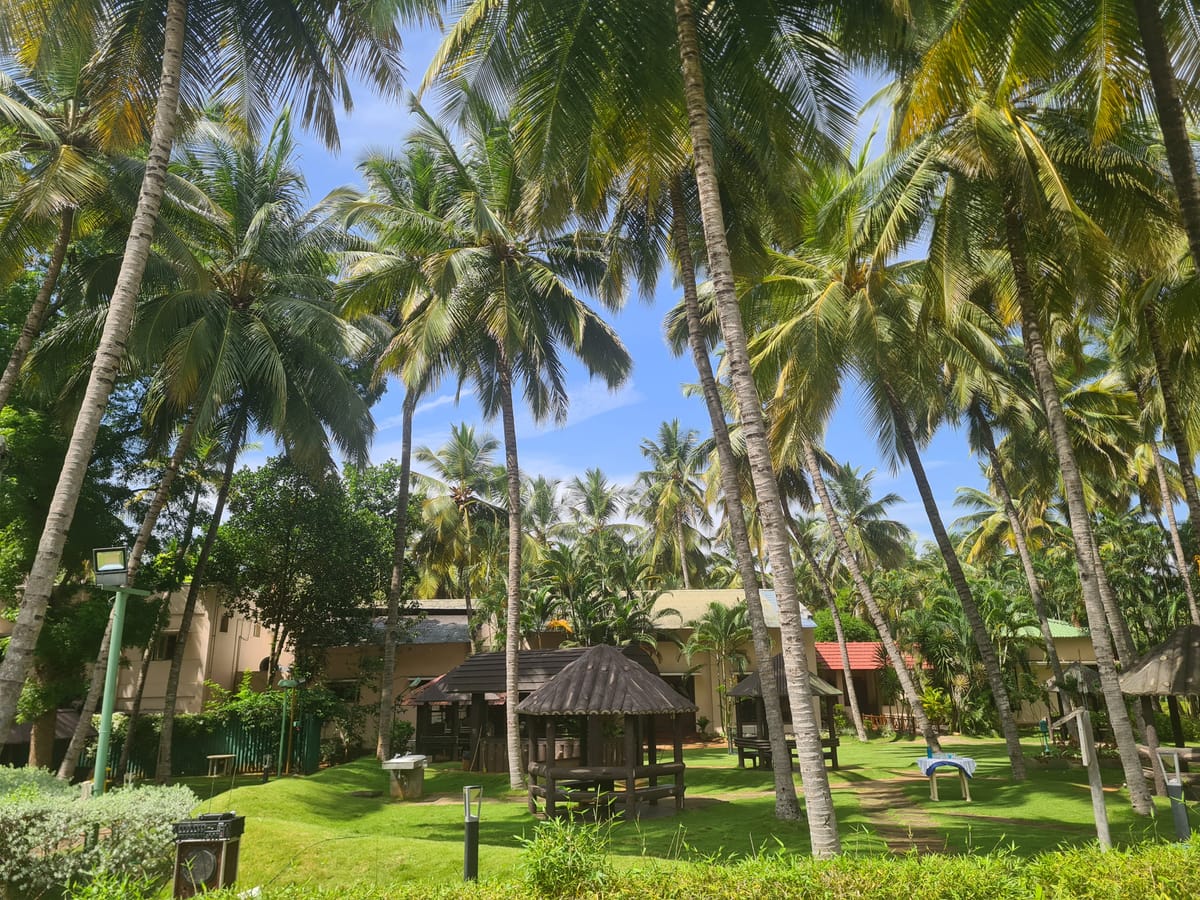 Black Thunder Resort — 1
