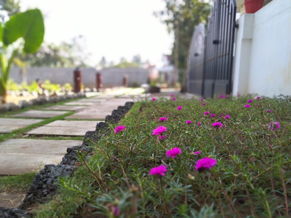 THE HEAVEN RESORT — 5