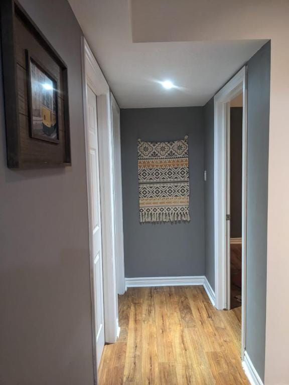 SWANKY & SPACIOUS BASEMENT — 1