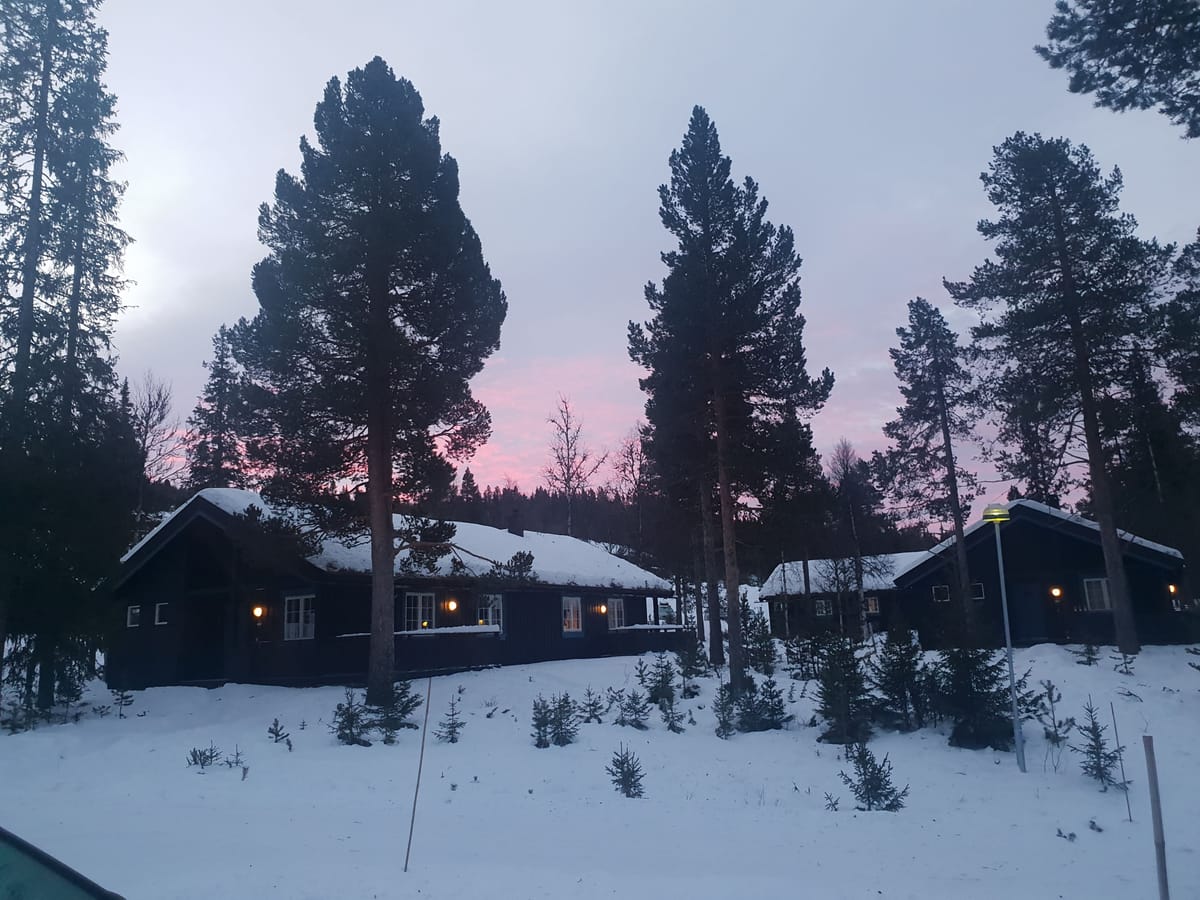 Gaalaa Fjellgrend — 2
