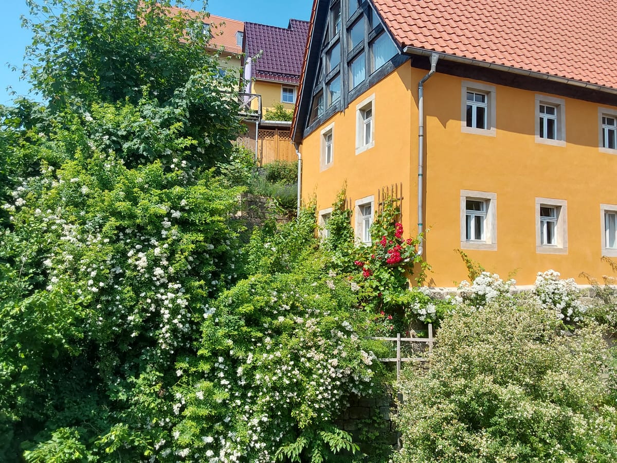 Villa Sophie — 5