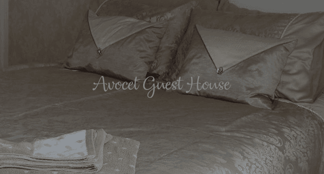 Avocet Guest House — 4