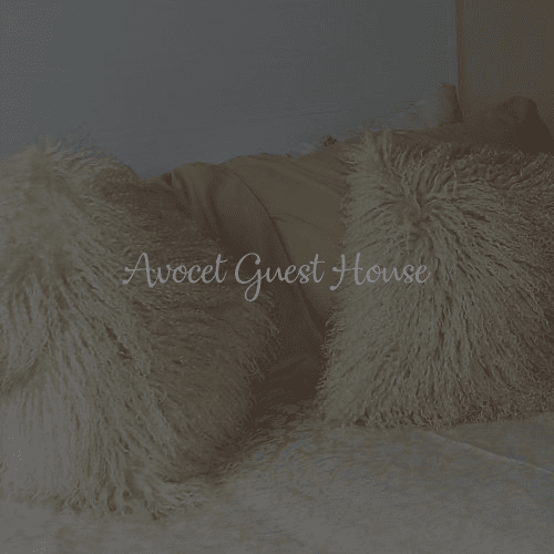 Avocet Guest House — 5