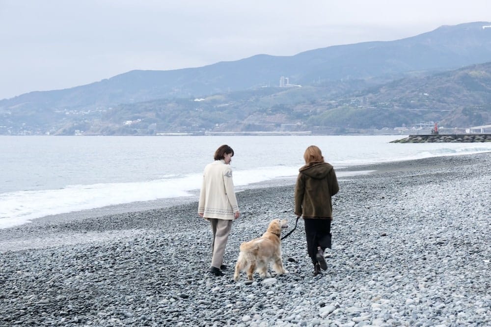 いぬと海辺 — 2