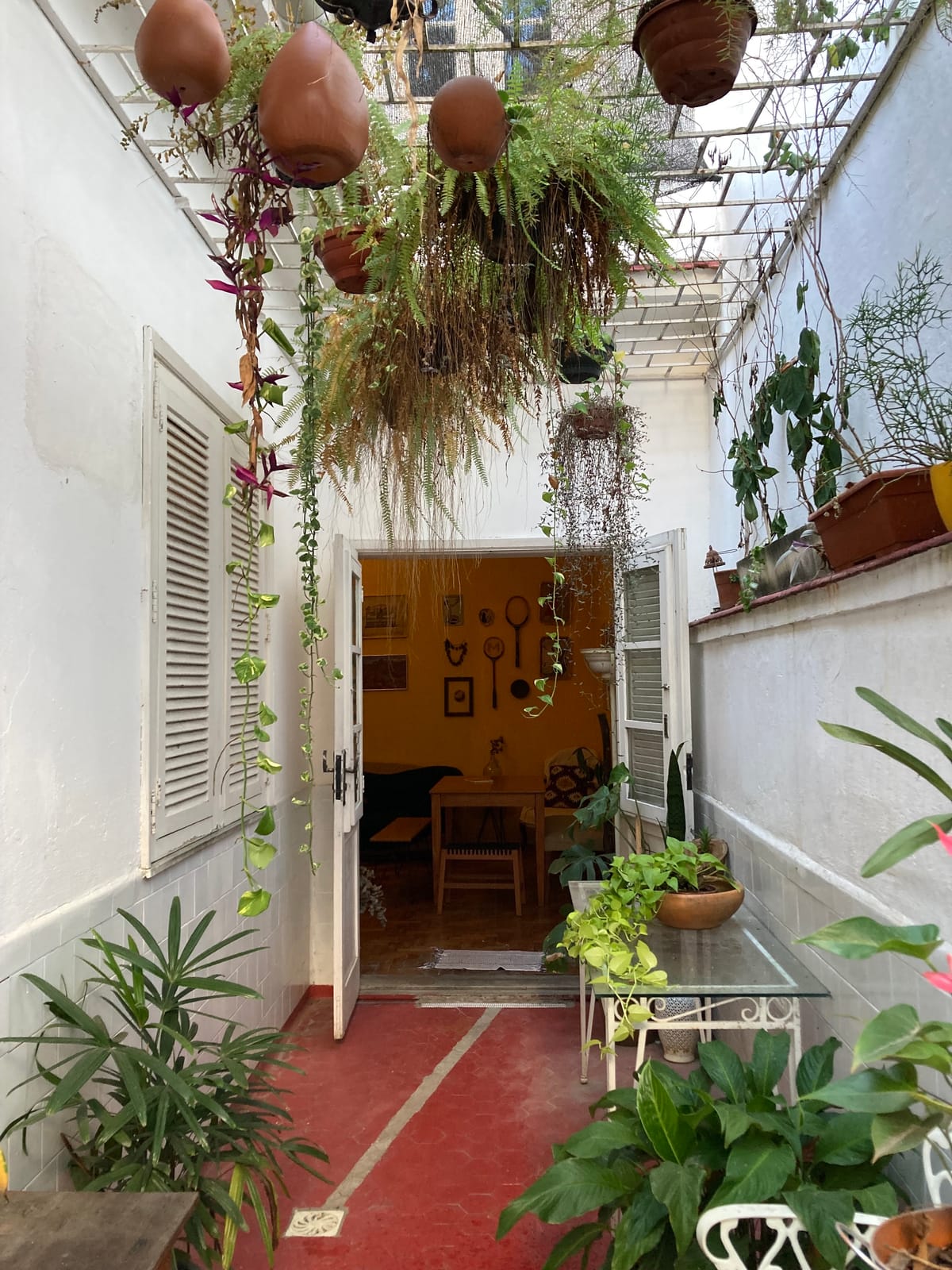 Chez Zany Boutique Hostel - Santa Teresa — 2