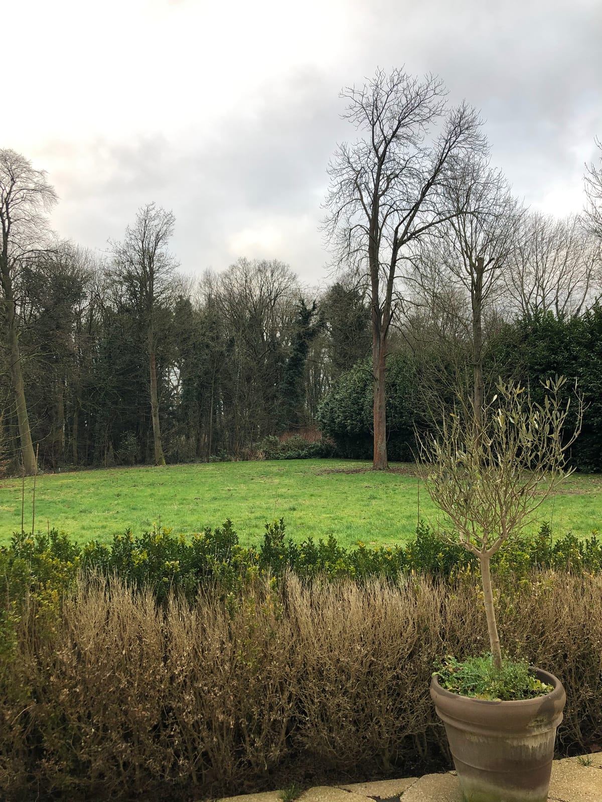 Hotel Malcot — 5
