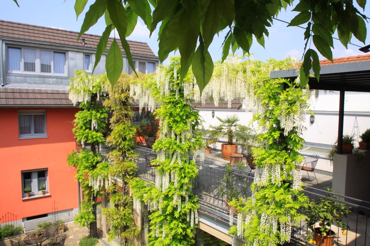 Arndt Hotel Garni — 1