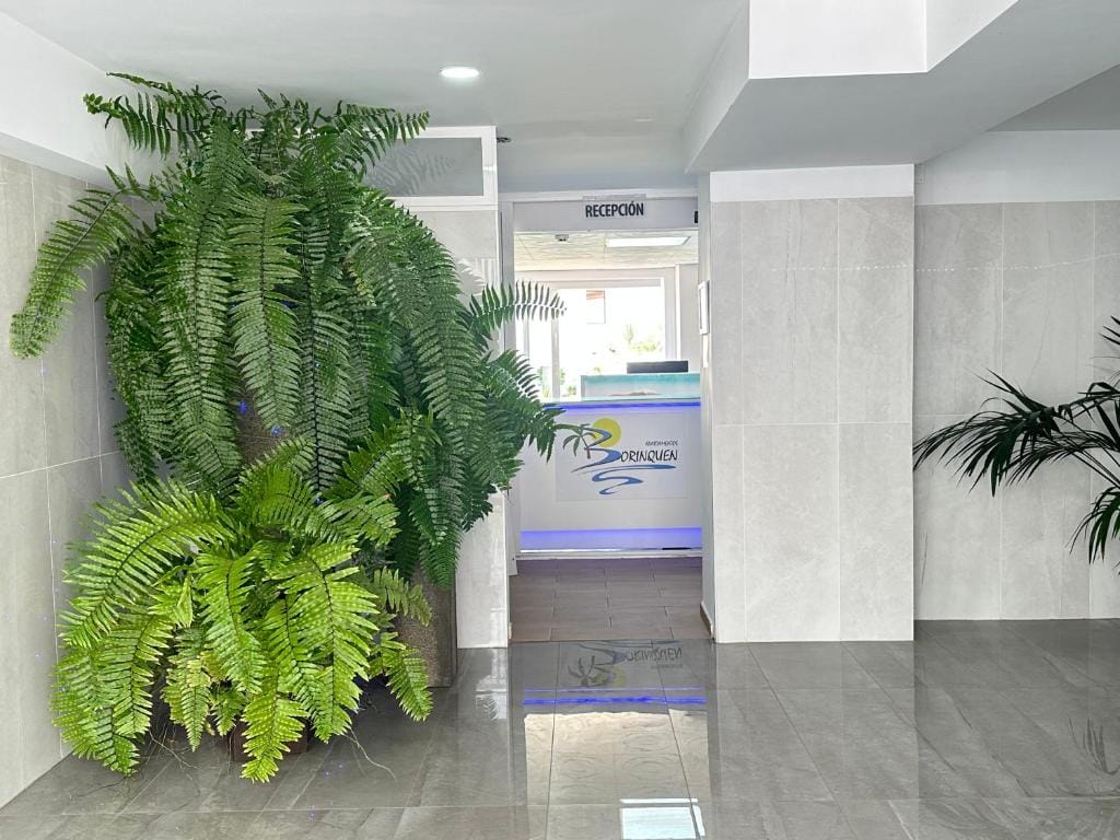 Apartamentos Borinquen — 5