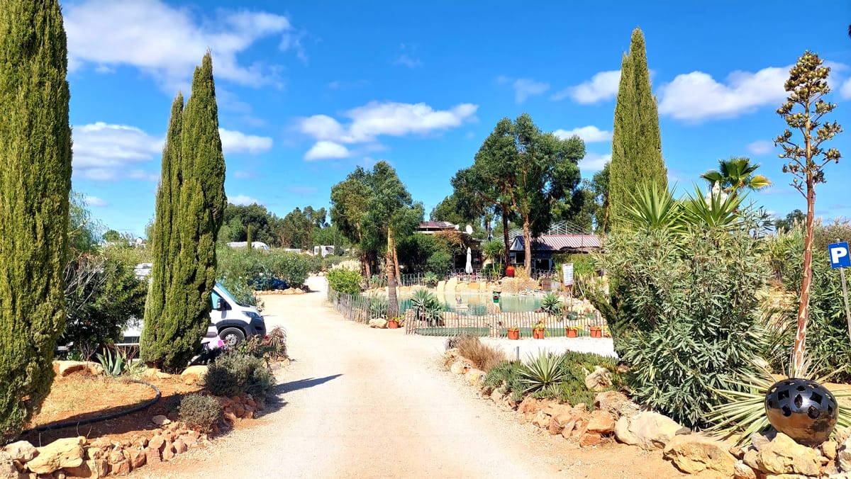 Mikki Place to Stay — 4