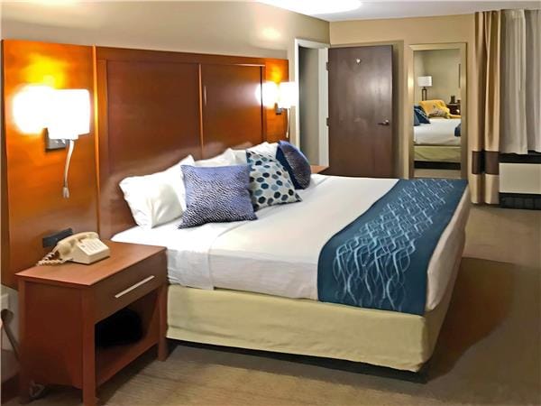 Comfort Inn, Erie - Near Presque Isle — 3