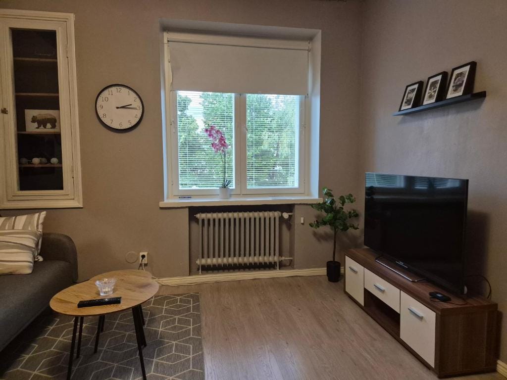 Central Studio in Vaasa with Free Parking — 1